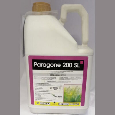 Paragone 200 SL 5 Ltr