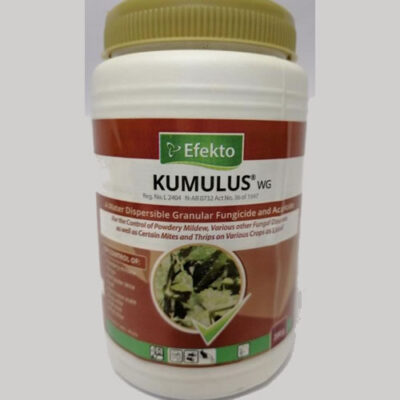Efekto Kumulus 200g