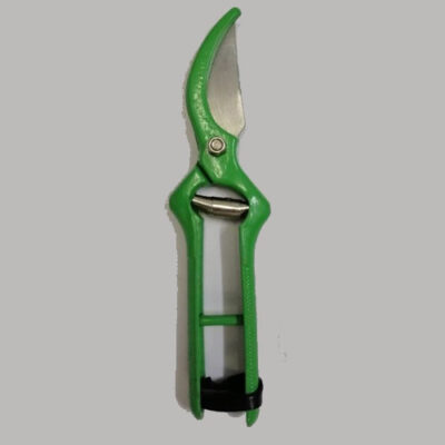 Pruner Sonneblum Green