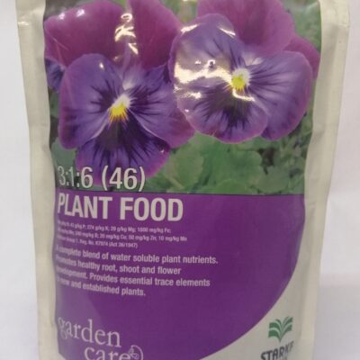 Starke Ayres Flowering Orchids 06.08.24 500gms