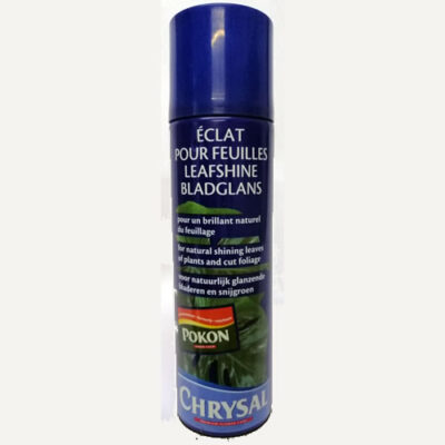 Chrysal leaf shine