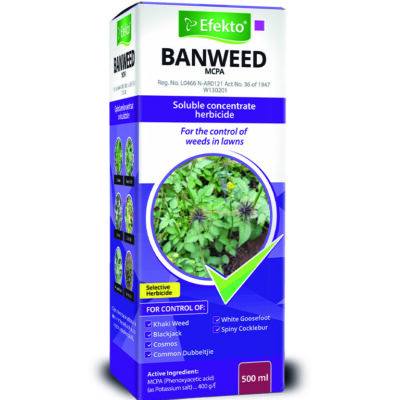 A soluble concentrate herbicide for the control of annual broadleaf weeds, as listed, in lawns and turf. Broad spectrum of soft broadleaf weed control Control of common broad-leaved weeds in newly planted lawns Does not kill grass lawn when used according to directions Suitable for use on buffalo lawns